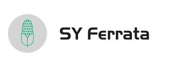 sy-ferrata.jpg