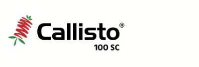 callisto100.png