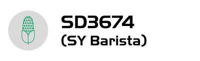 Logo kukurica a text „SD3674 (SY Barista)“