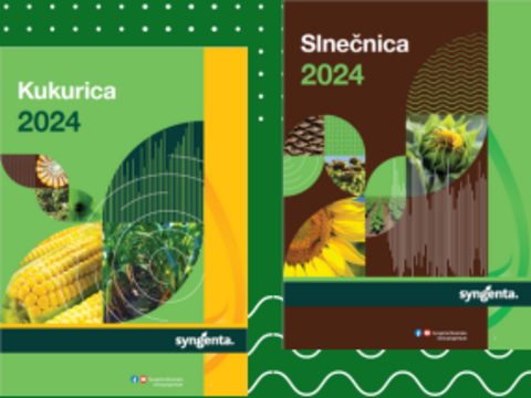 Katalog kukurica a slnečnica Syngenta 2024