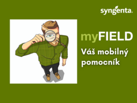 aktuality_sk_my_field_285x214_4_ku_3_7.png