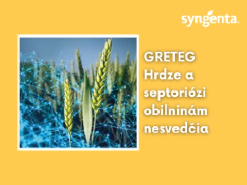 web_aktuality_greteg_rozmer_285x214.png