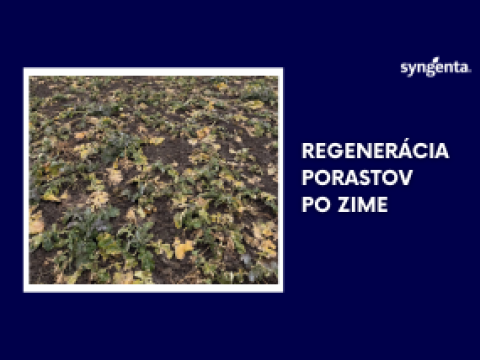 ochrana pred mrazom
