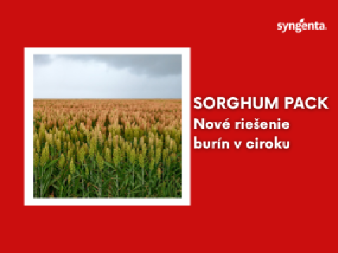sorghum pack