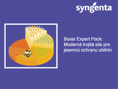 Grafika Syngenta s textom o Boxer Expert Pack na jesennú ochranu obilnín