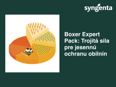 Reklamná grafika Syngenta: Boxer Expert Pack – trojitá sila pre ochranu obilnín