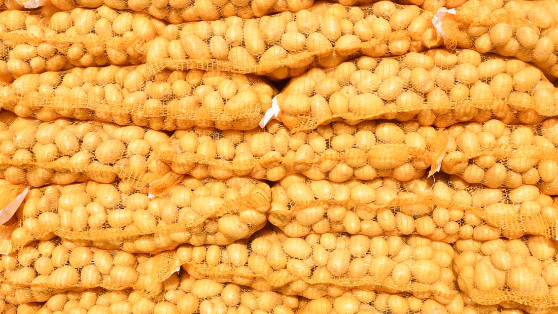 syngenta, zemiaky, ochrana