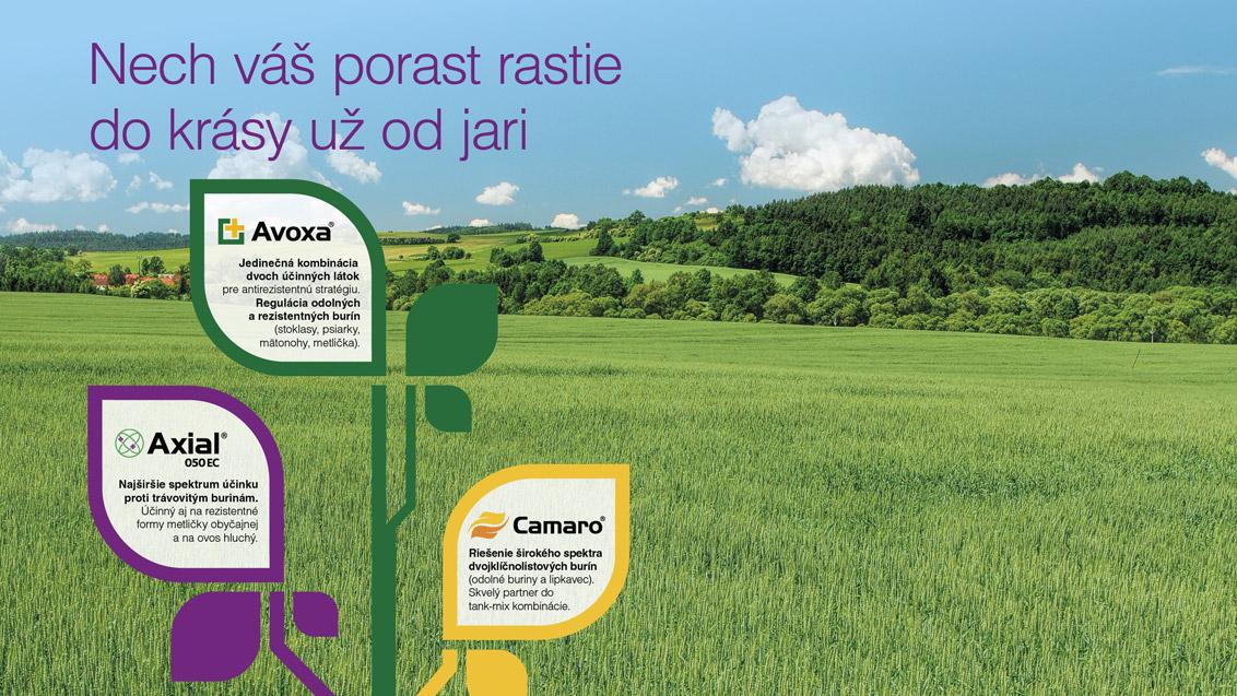 syngenta-sk-inz-axial-avoxa-camaro-1132x637px.jpg