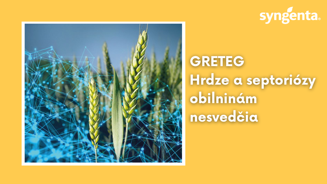 web_aktuality_greteg_rozmer_1132x637_16.png