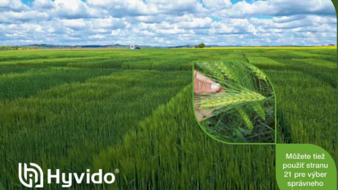Hyvido