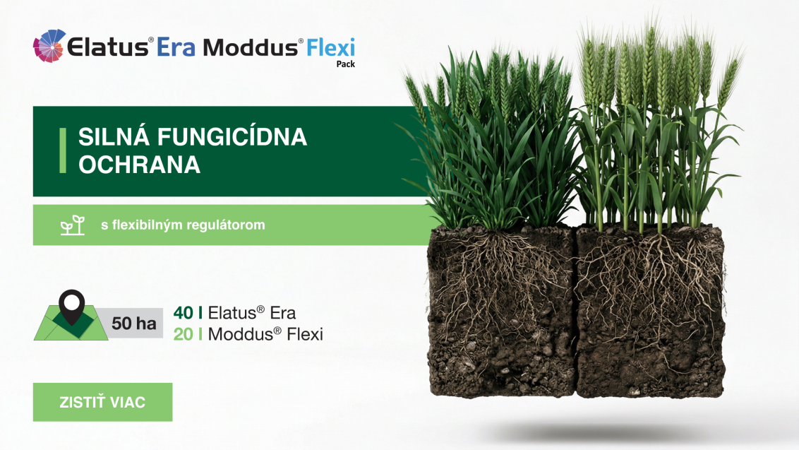 sk_hero_elatus_era_moddus_flexi_2026.png