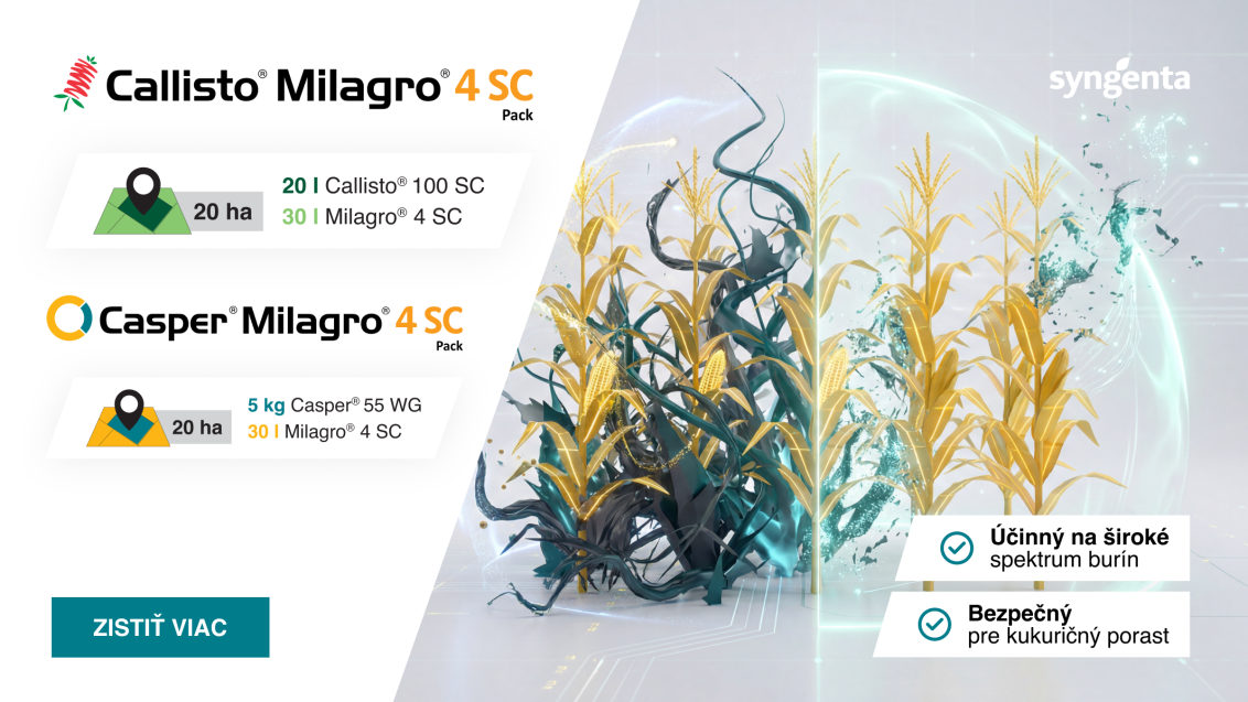 sk_hero_callistocasper_milagro_4sc_2026.png