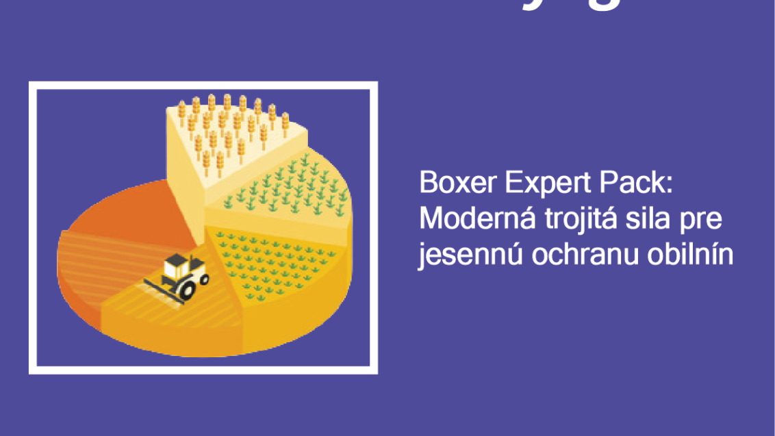 Grafika Syngenta s textom o Boxer Expert Pack na jesennú ochranu obilnín