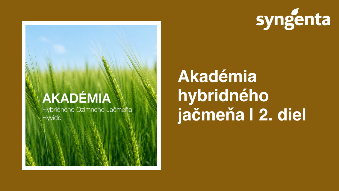 Hnedé pozadie s logom Syngenta a textom „Akadémia hybridného jačmeňa 1–2. diel“