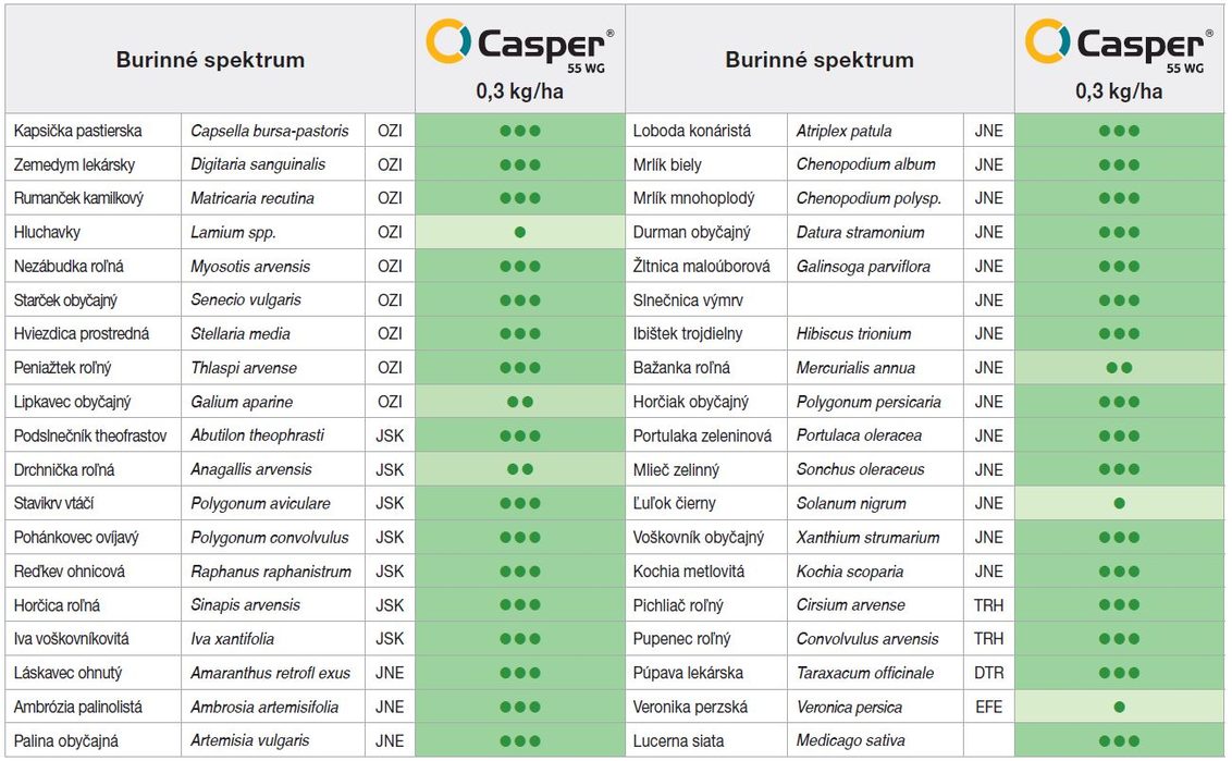 Casper 55 WG