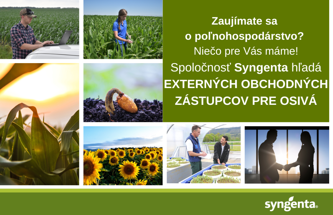 externy zastupcovia