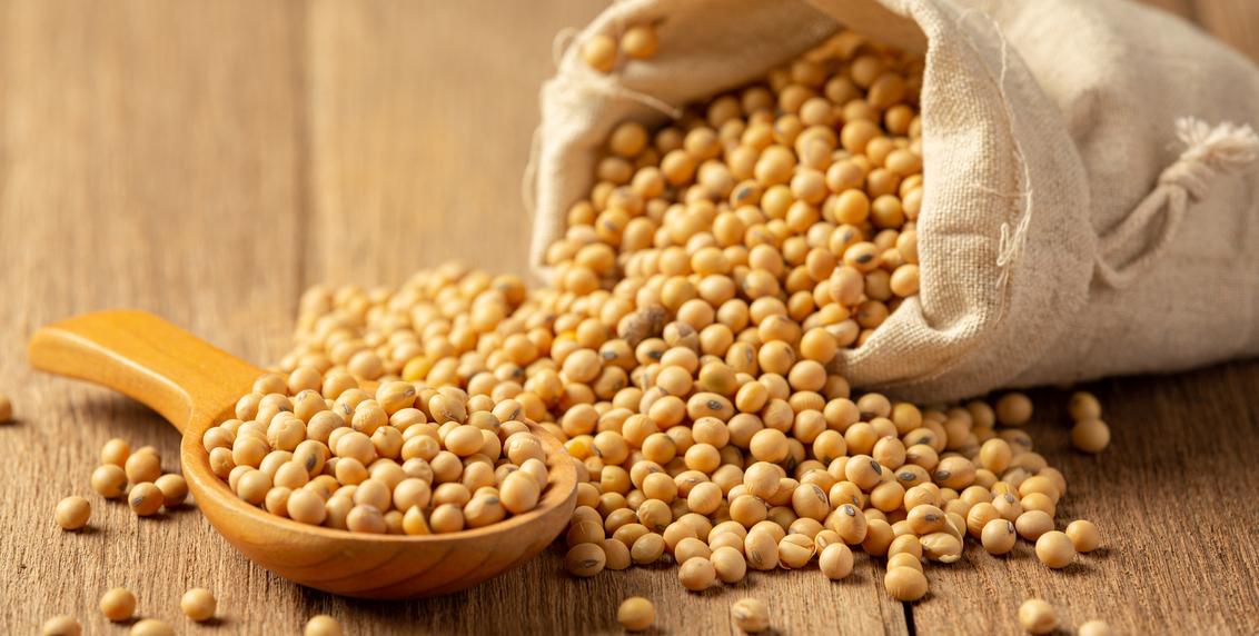 soybean-sauce-soybean