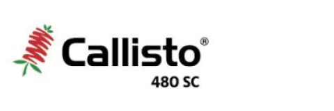 callisto480.png
