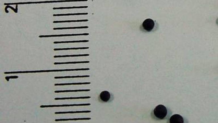 horcice_rolni_2 syngenta 