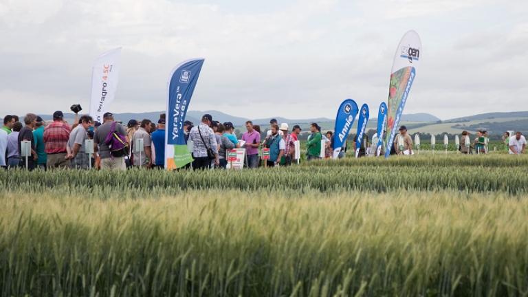 optitech syngenta 