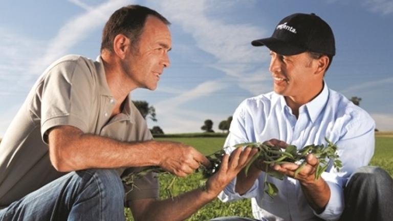 advice syngenta 