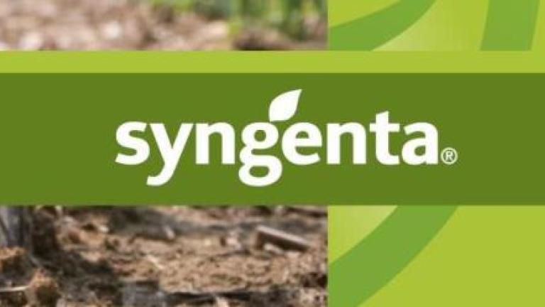 brochure syngenta 