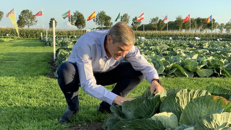 syngenta