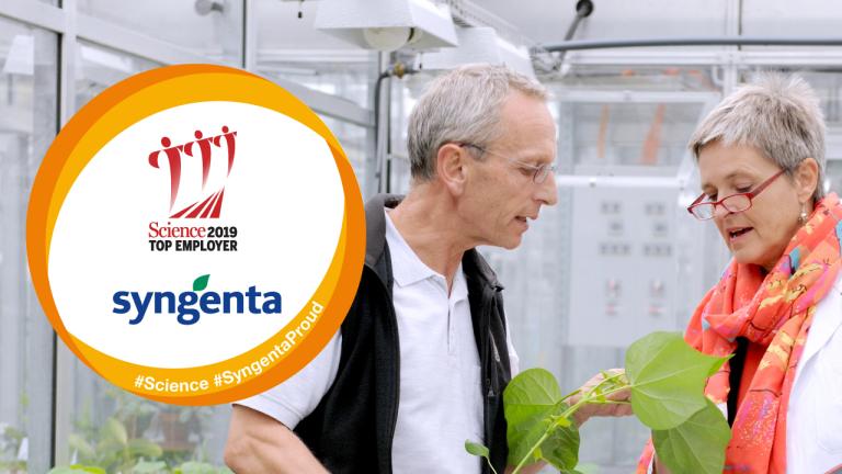 syngenta top zamestnavatel