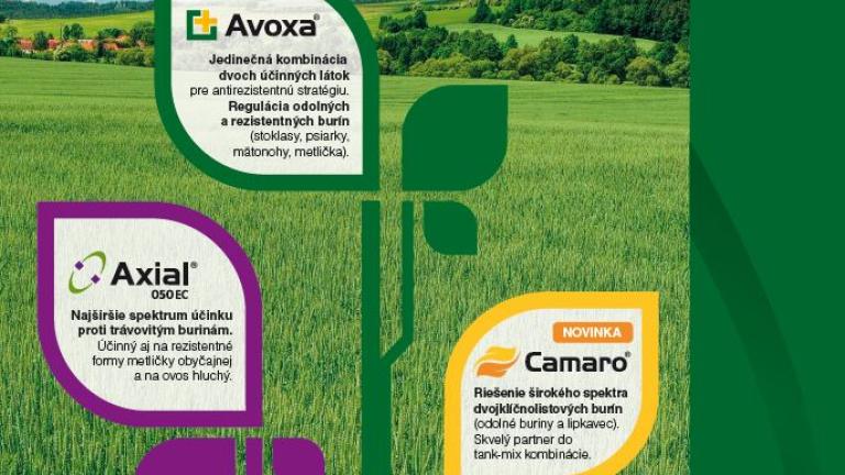 avoxa, axial, camaro