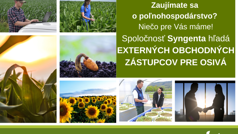 externy zastupcovia