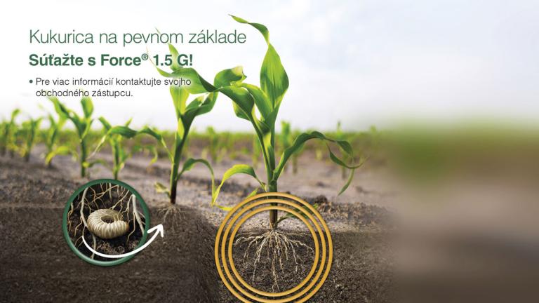 syngenta-sk-banner-force-1132-x-637-12.jpg