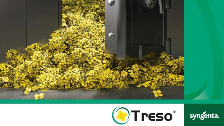 treso_16_ku_9
