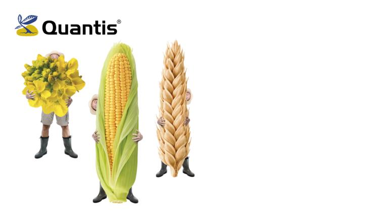 syngenta_sk_inz_quantis_1132x637_px