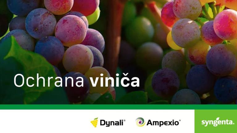 ochrana_vinica_dynali_ampexio_16_ku_9