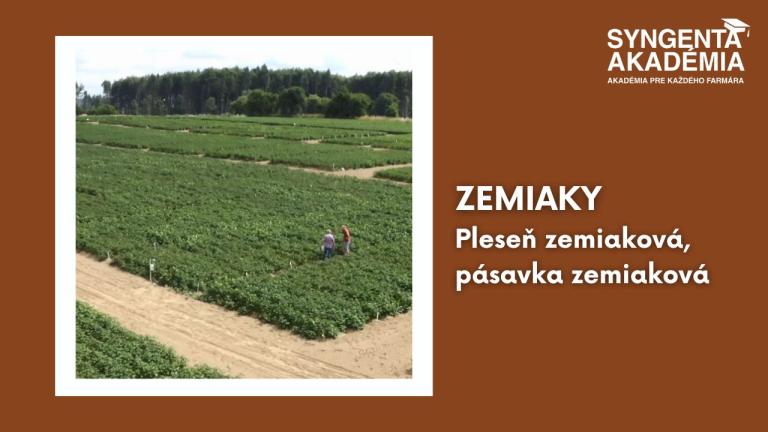 akademia_zemiaky_3_cast
