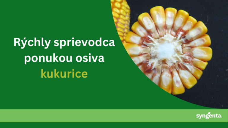 sprievodca kukuricu