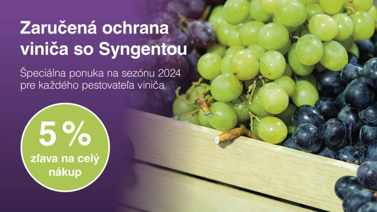 Akcia vinič