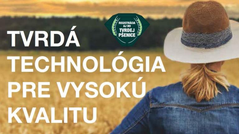 Tvrdá pšenica