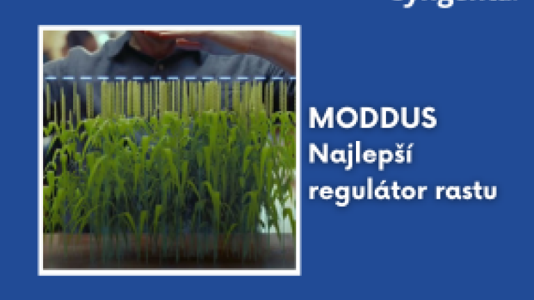 aktuality_sk_moddus_285x214_4_ku_3.png