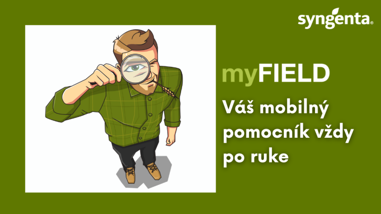 aktuality_skr_my_field_1132x637_16_ku_9.png