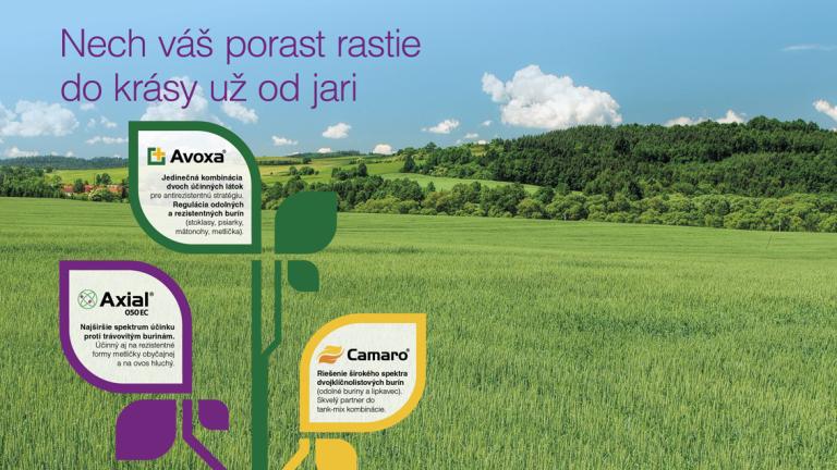 syngenta-sk-inz-axial-avoxa-camaro-1132x637px.jpg