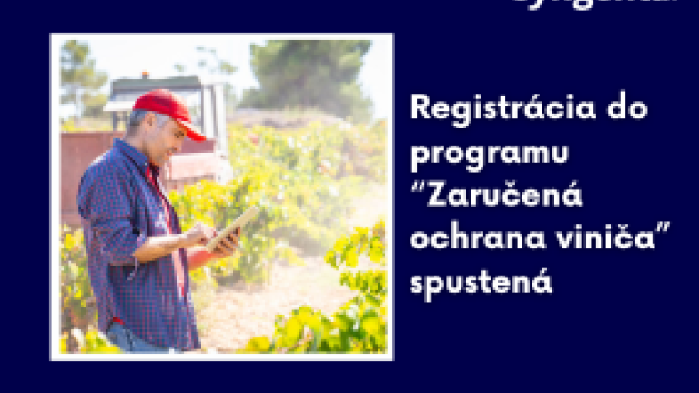 aktuality_vinič_rozmer_285x214_4_ku_3.png