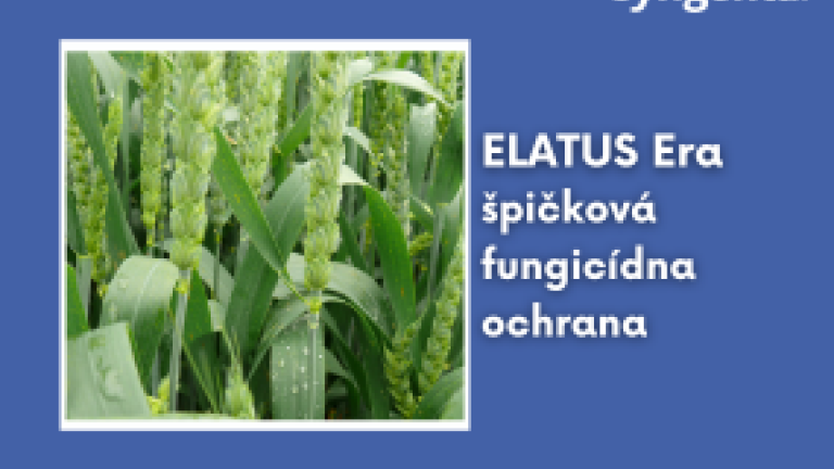 web_aktuality_elatus_rozmer_285x214_4_ku_3_14.png