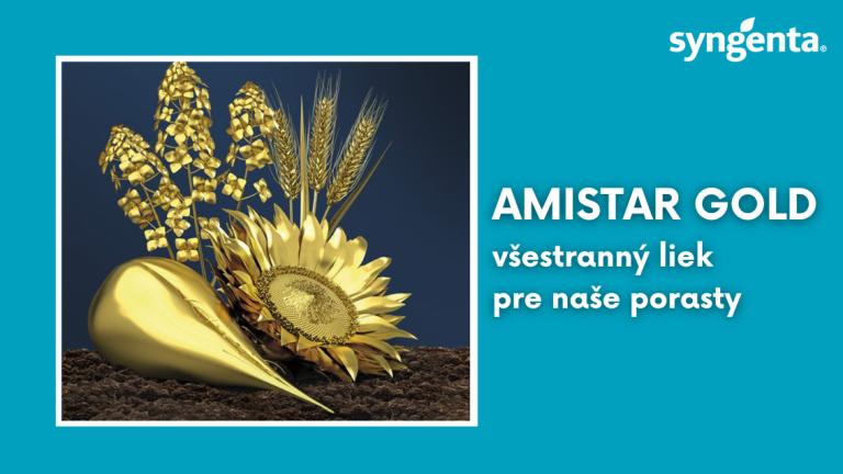 web_aktuality_amistar gold_rozmer_1132x637_16_ku_9.png