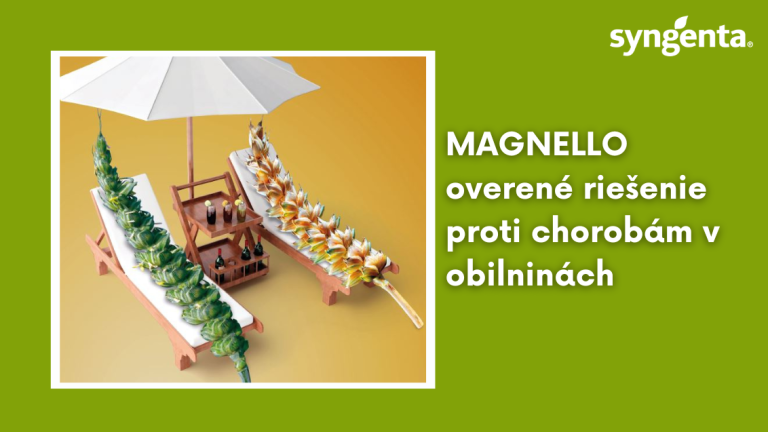 web_aktuality_magnello_rozmer_1132x637_16_ku_9.png