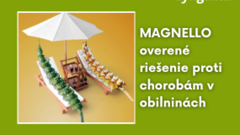 web_aktuality_magnello_rozmer_285x214_4_ku_3.png