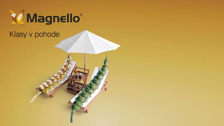syngenta-sk-bannery-magnello-1132-x-637_2.jpg