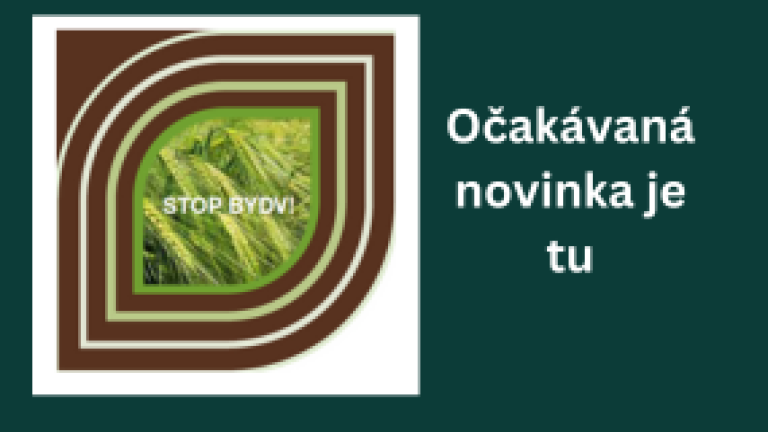 Hyvido