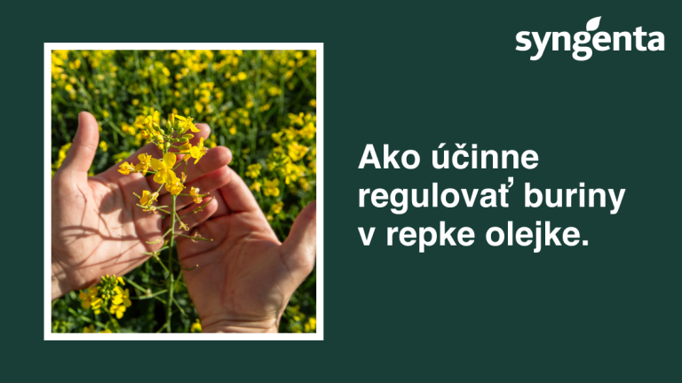 syngenta.png