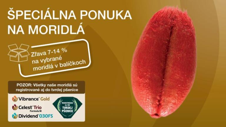 moridla